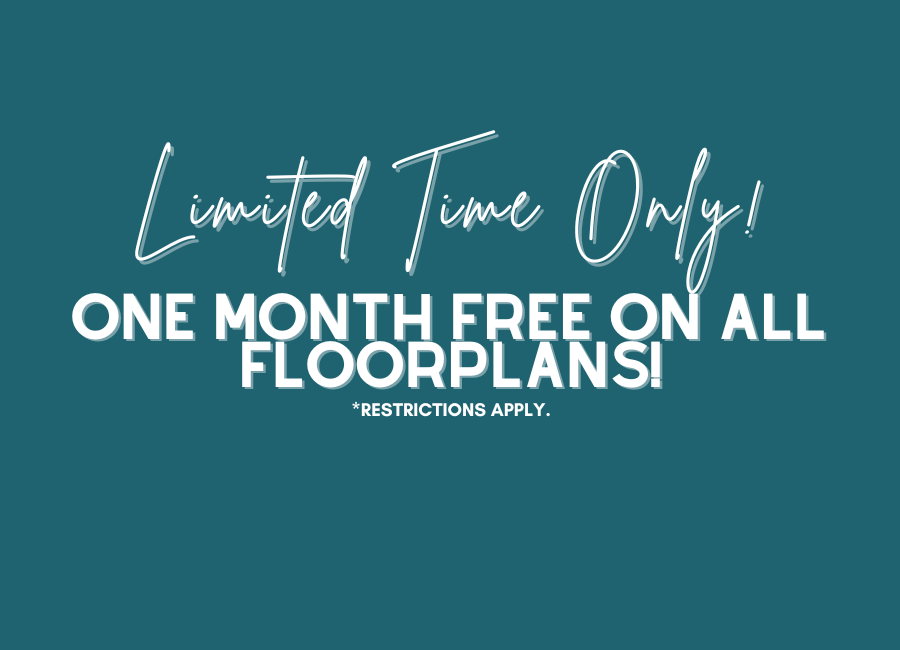 Luxury Apartment Lockhart Lockhart Apartment for Rent Lockhart Farms